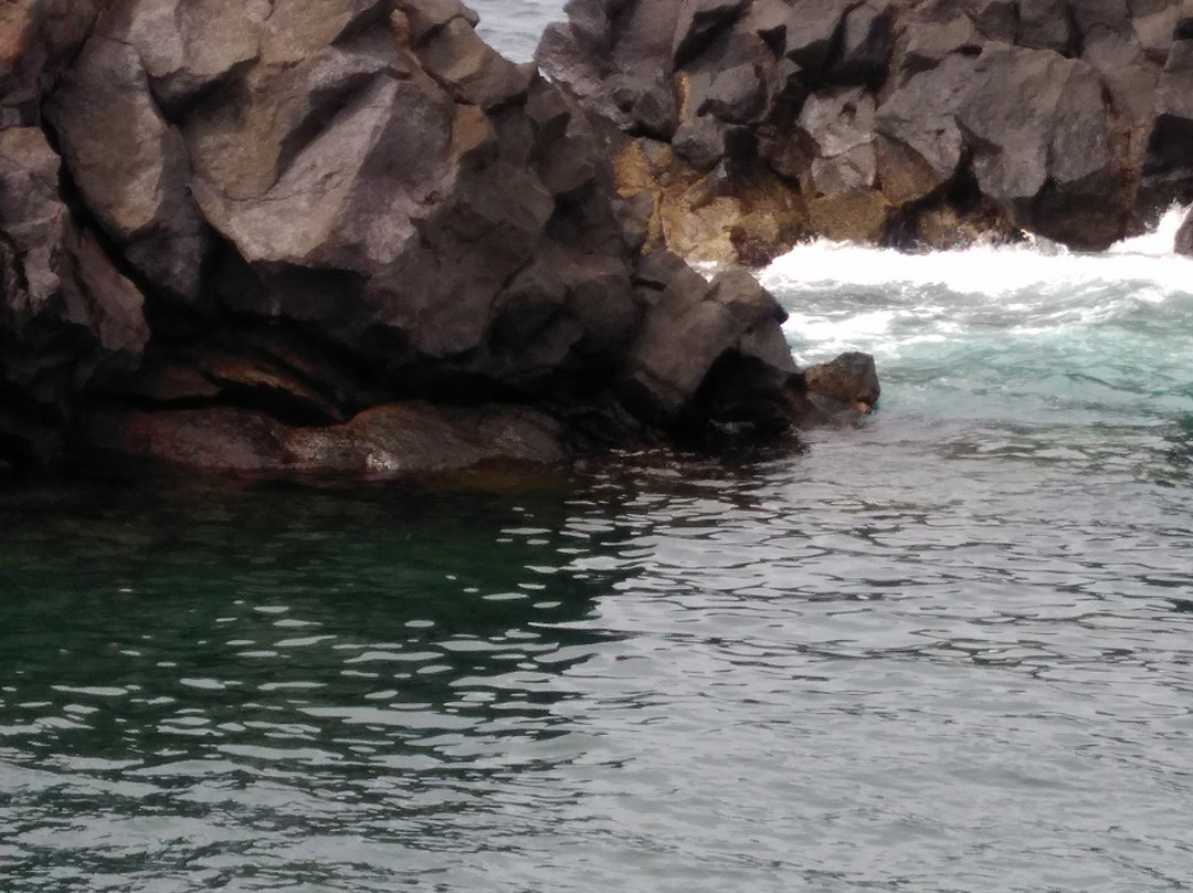 Piscinas Naturales en Capelas景点图片