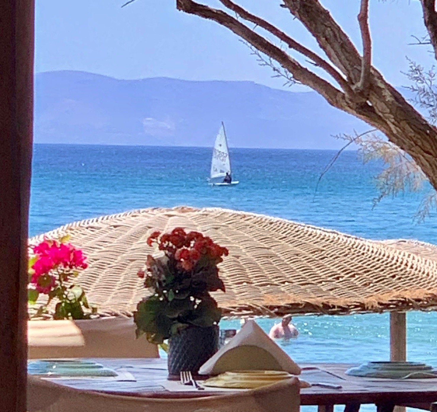 Golden Beach Studios & Suites-官方