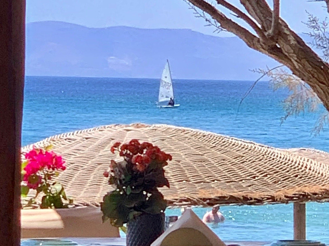 Golden Beach Studios & Suites主图