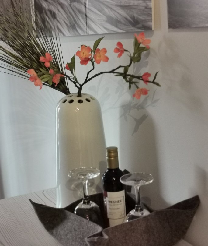 Hotel Villa Lago主图