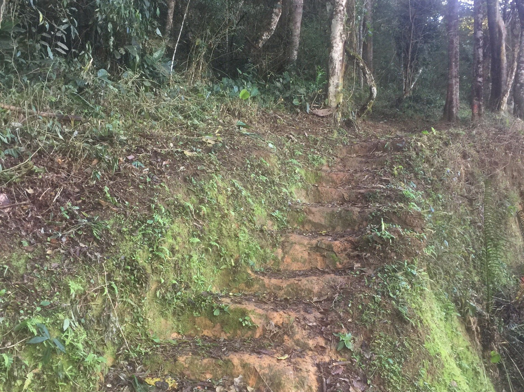 Rota das Araucarias-Sao Bento do Sapucai必去景点