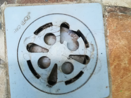 The Dafish Ceningan主图