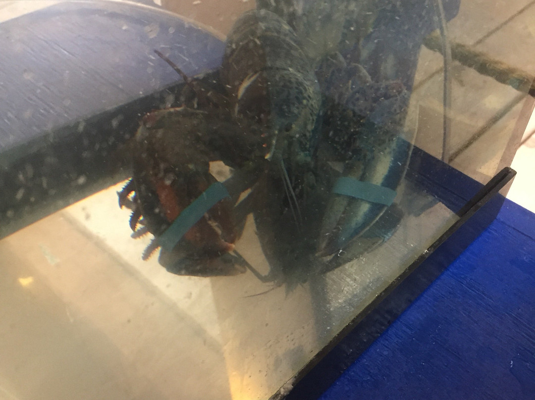 Northumberland Fisheries Museum-Pictou必去景点