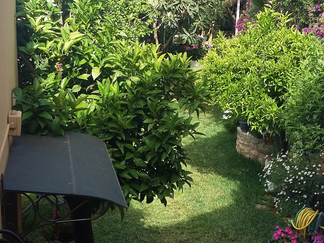 Giardino delle Zagare主图