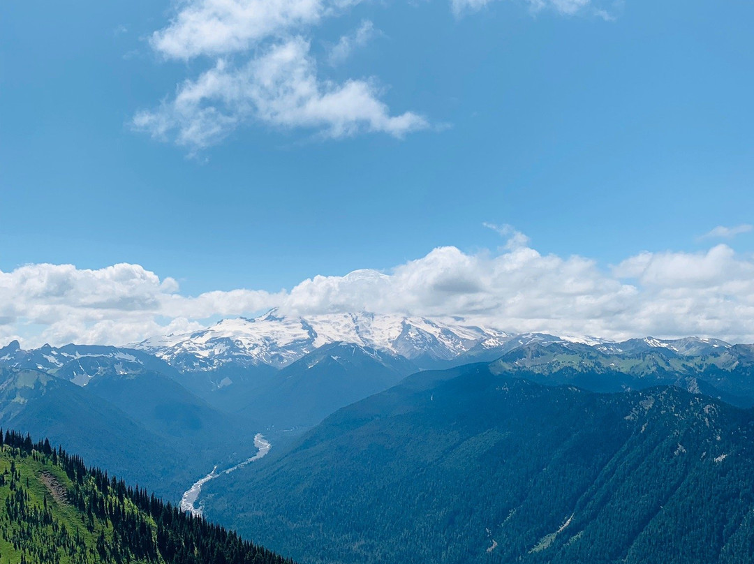 Crystal Mountain Scenic Gondola Ride景点图片