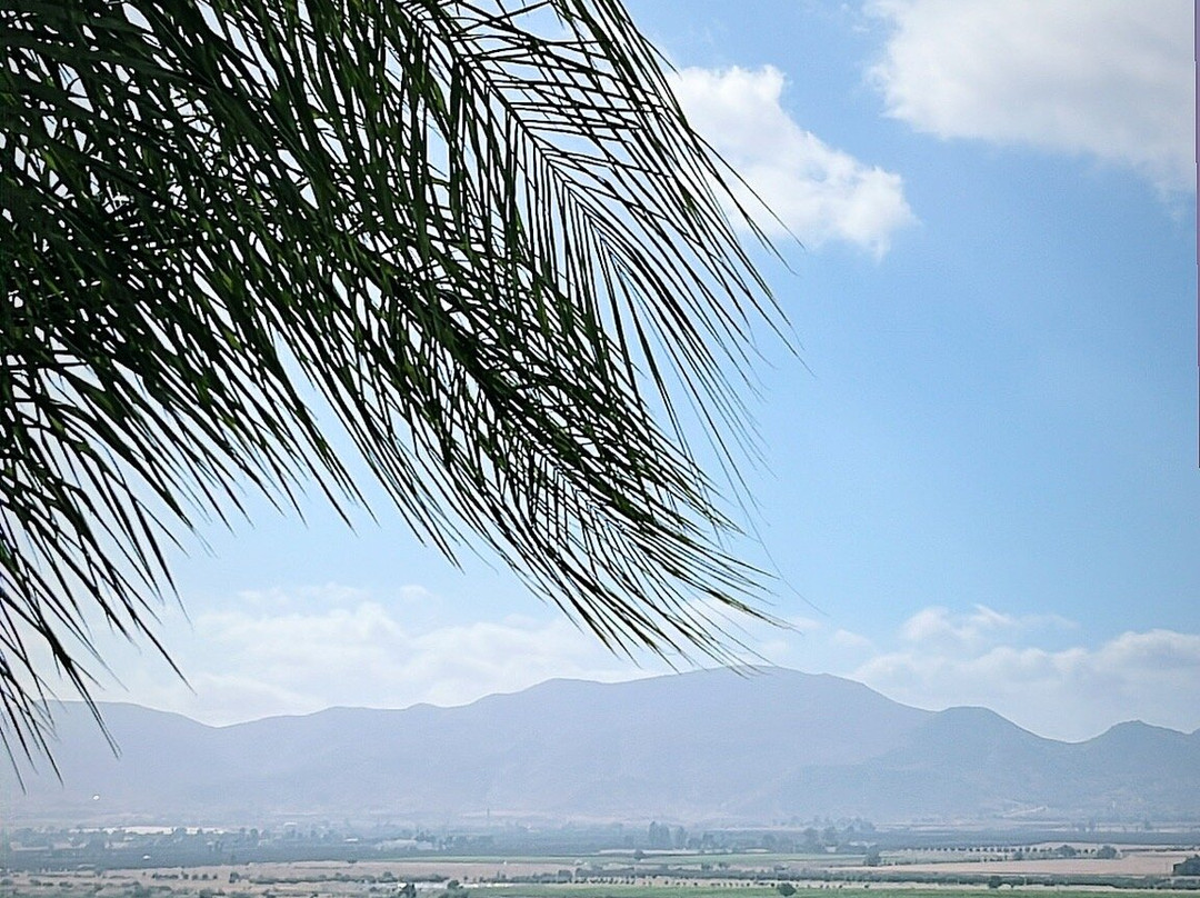Hotel Hacienda Guadalupe