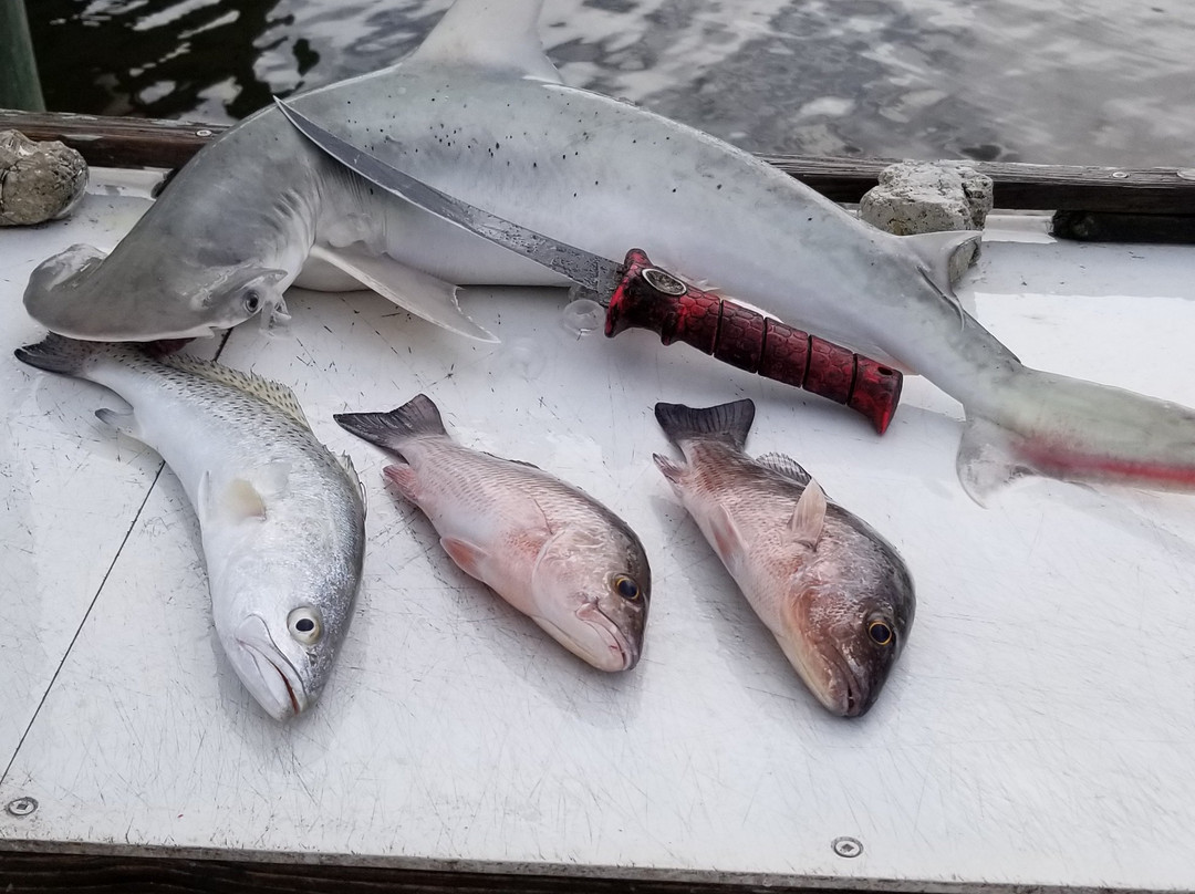 Native Guided Fishing-Goodland必去景点