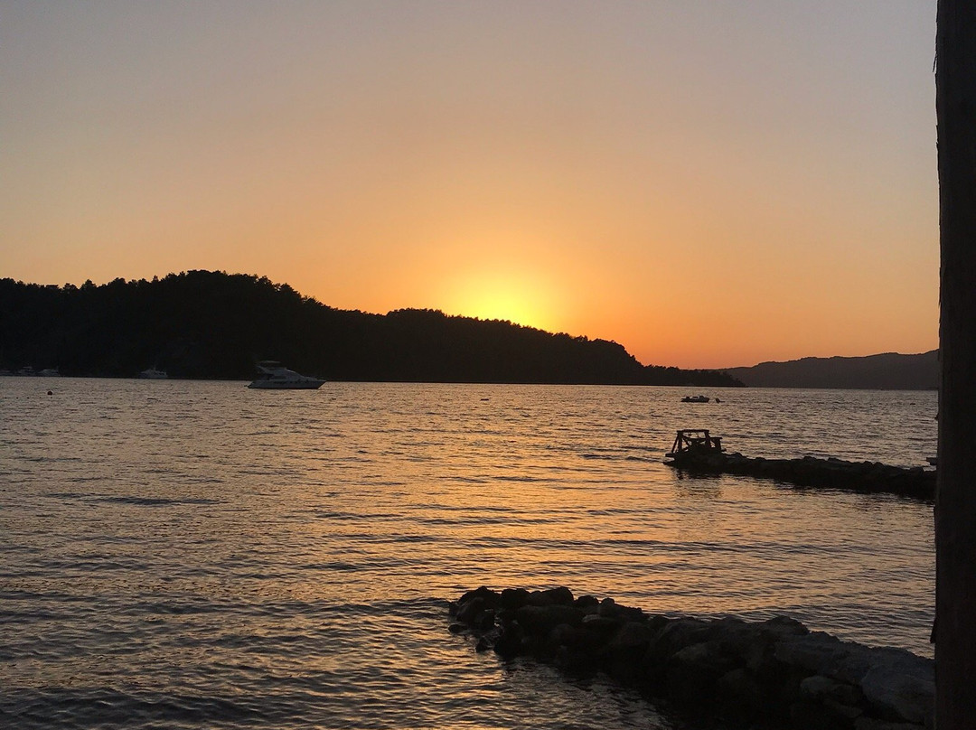 Sakin Vadi Winehouse主图