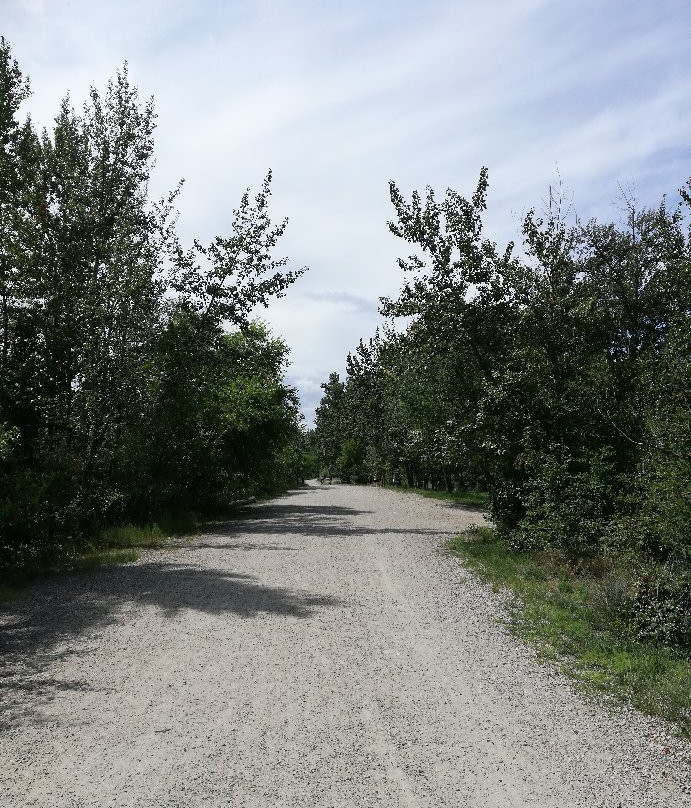 Mission Creek Regional Park-基洛纳必去景点