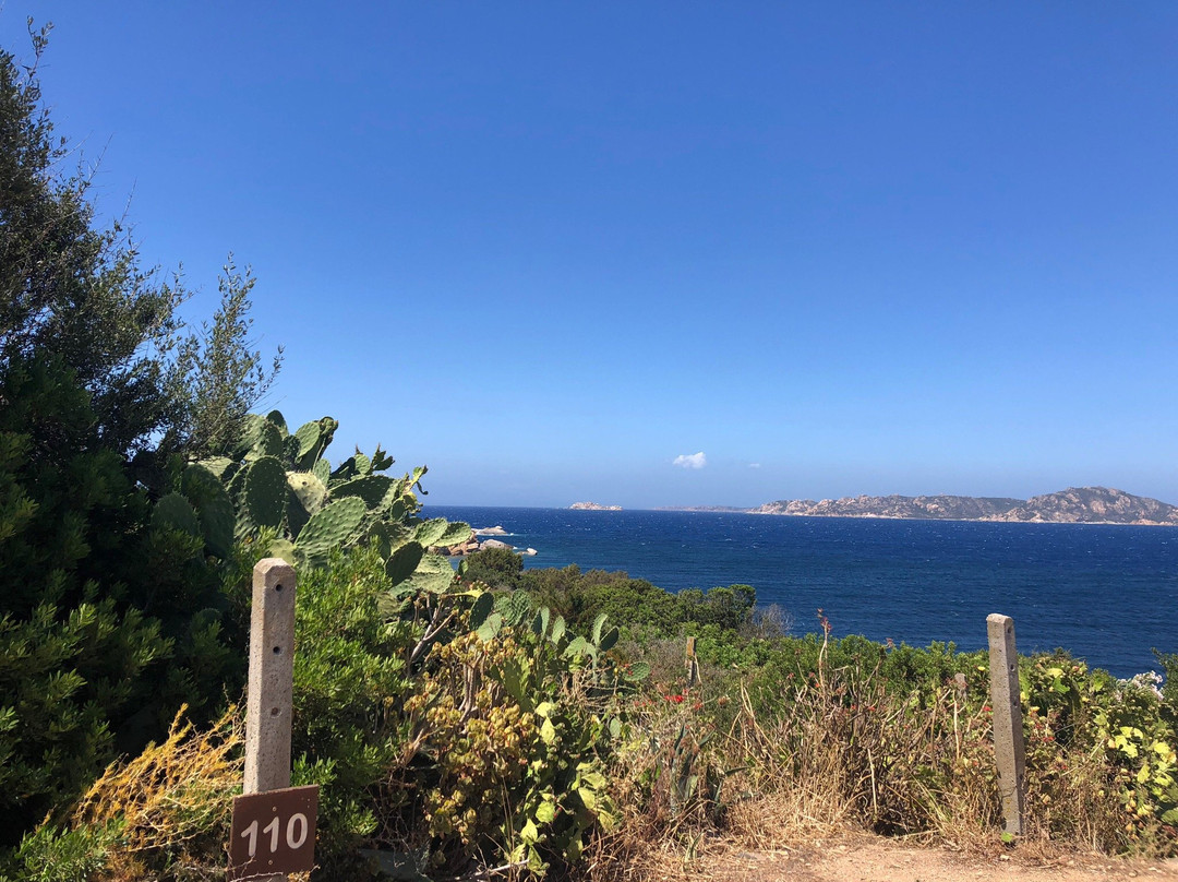 Isola dei Gabbiani主图