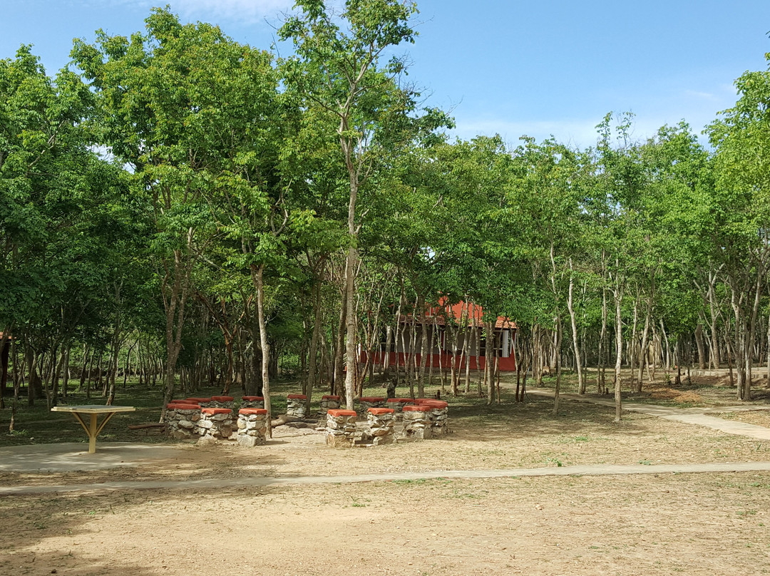 Ambuja Farms主图