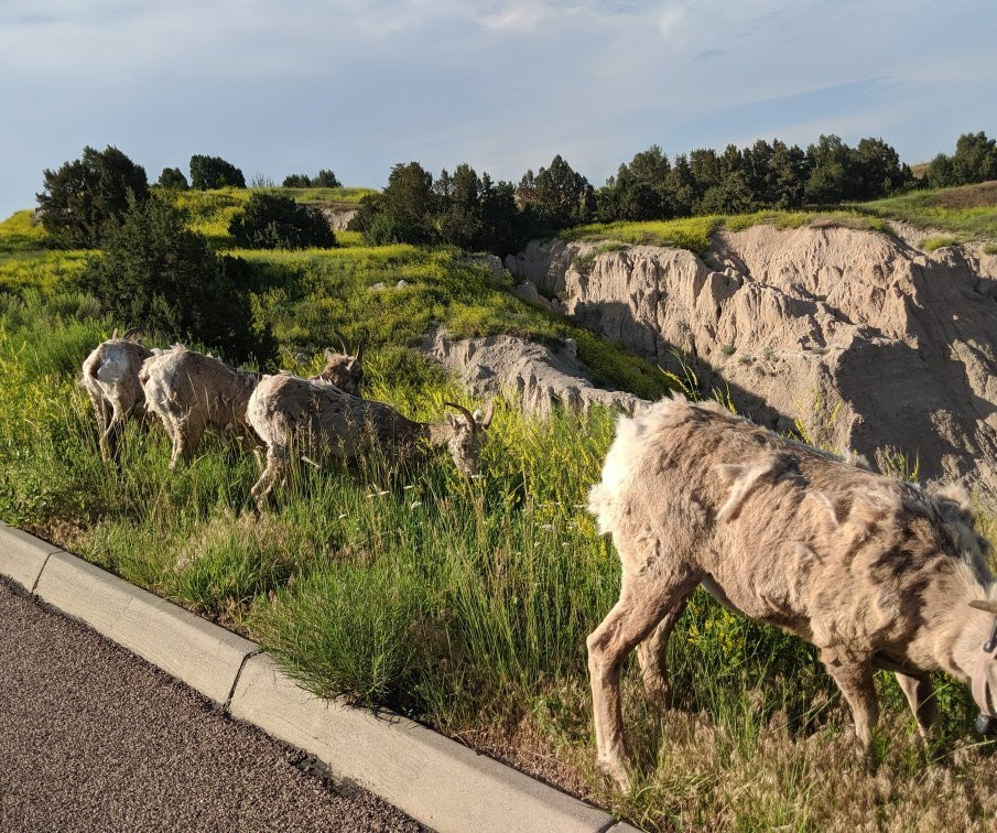 Badlands Wall景点图片