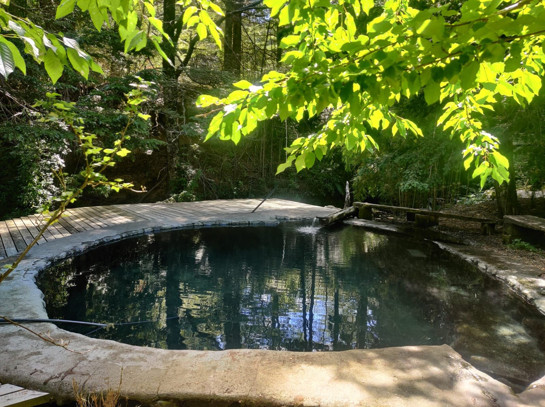 Termas de Panqui