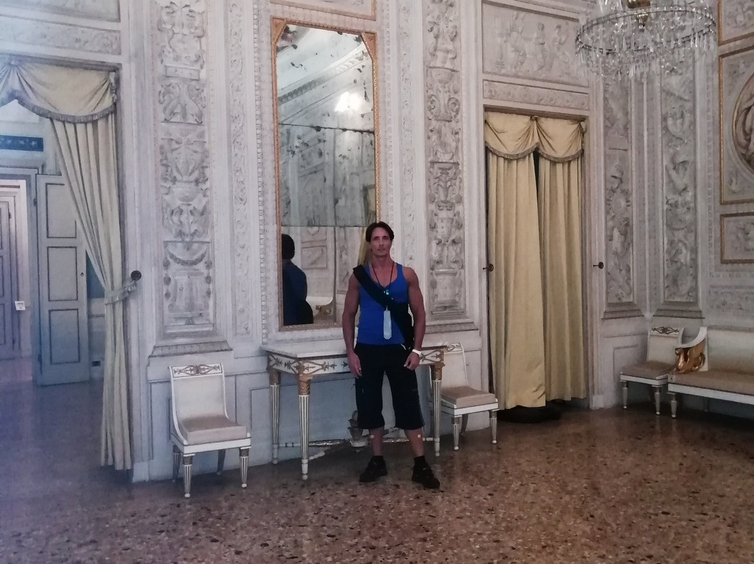 Palazzo Milzetti Museo Nazionale dell'età Neoclassica in Romagna景点图片