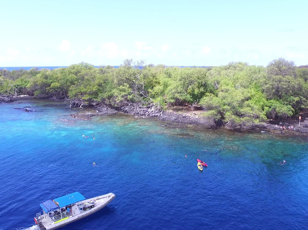 Captain Cook Snorkeling Cruises景点图片