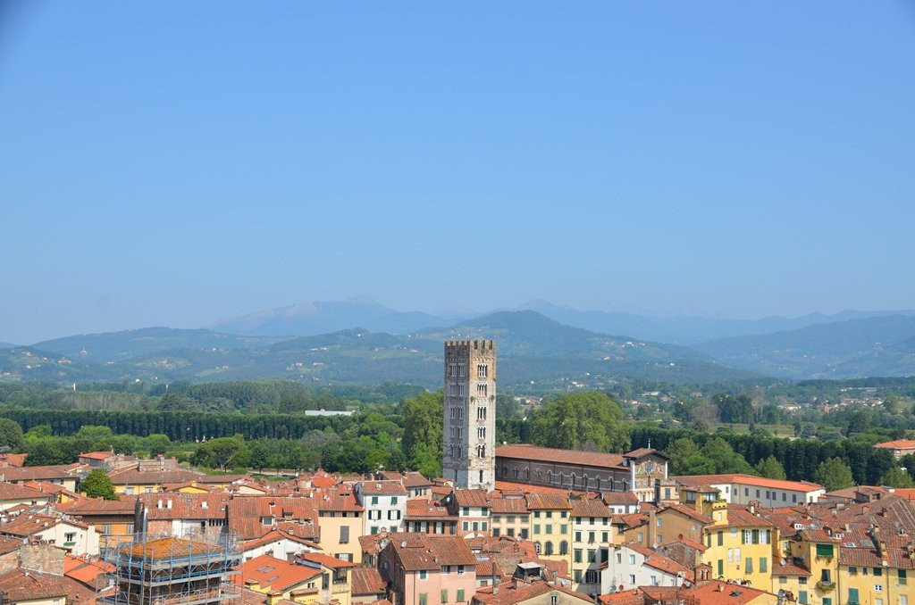 Torre Guinigi景点图片