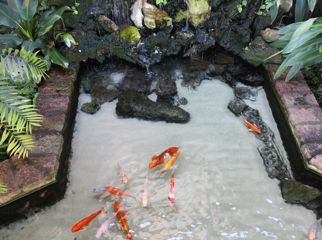 Royal Palm Plaza Resort Campinas主图