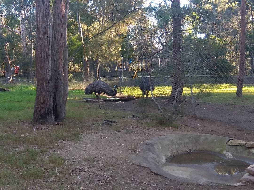 Wirrimbirra Sanctuary-Bargo必去景点