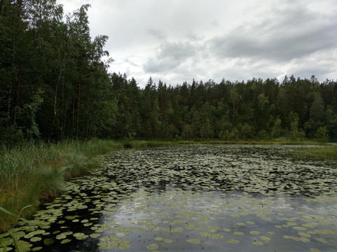 Lomi Nature Travels-赫尔辛基必去景点