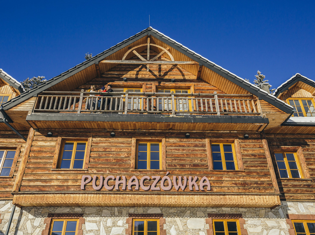 Stronie Slaskie酒店住宿-Pensjonat Puchaczowka