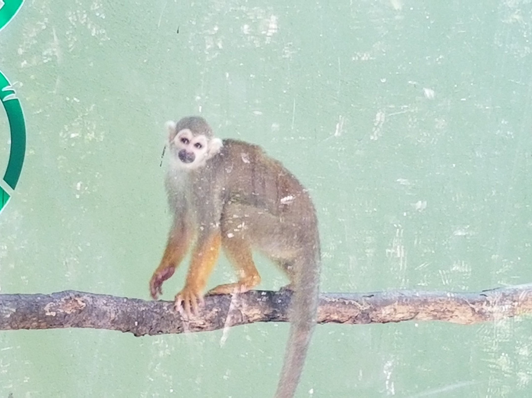 Vea Trips & Tours-艾库玛尔必去景点