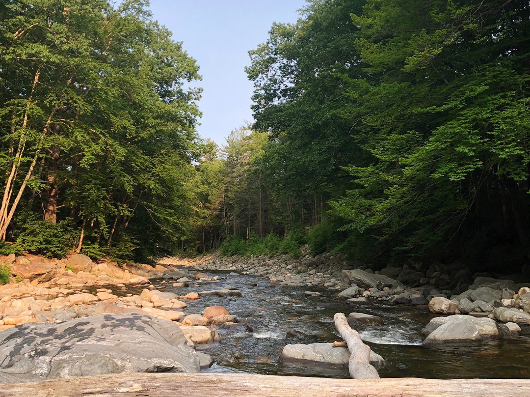 Mohawk Trail State Forest-Charlemont必去景点