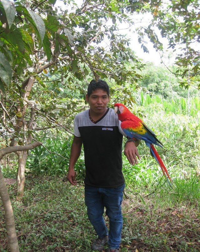 Dos Loritos-Paucartambo必去景点