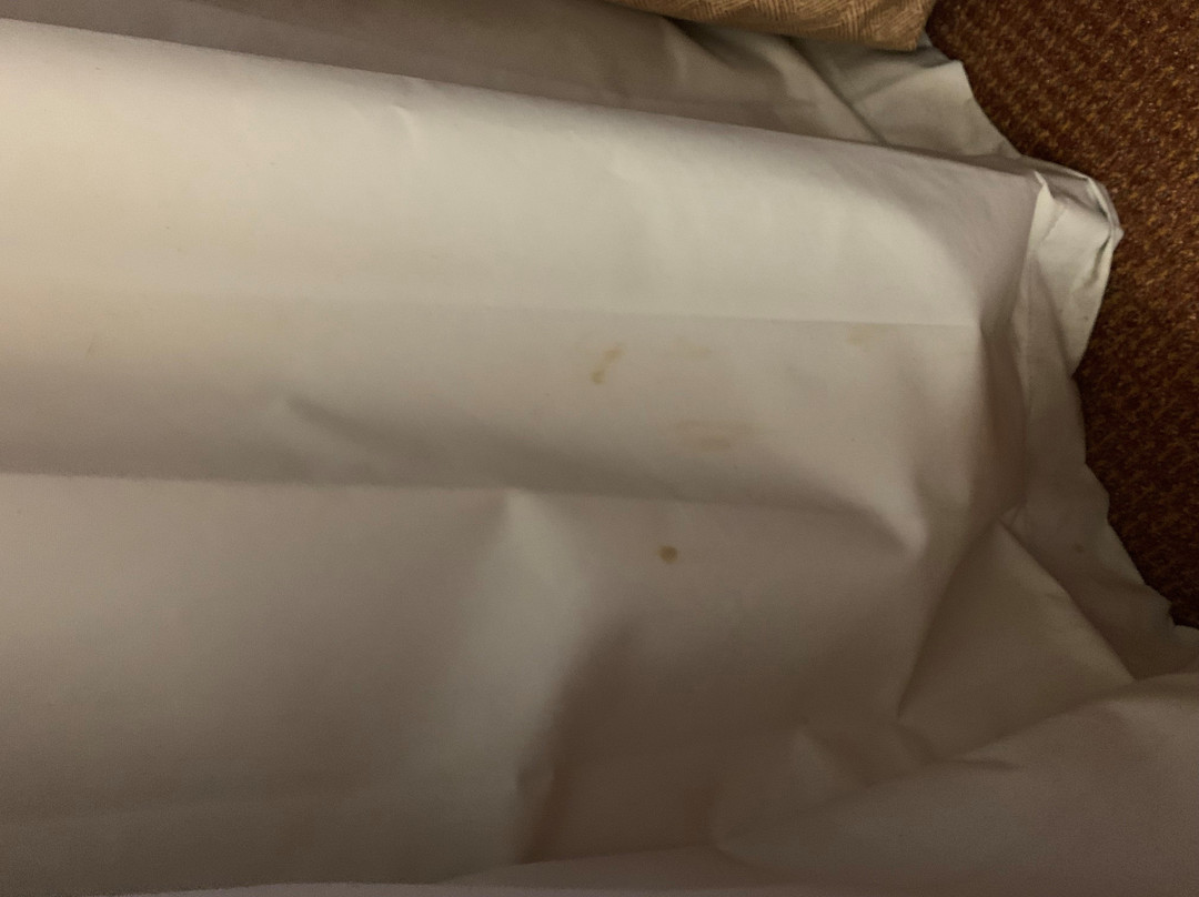 百汇国际酒店主图