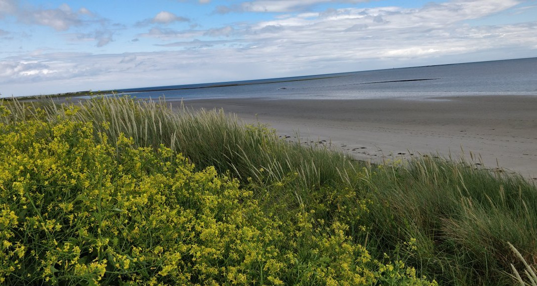 Cloughey Bay Beach景点图片