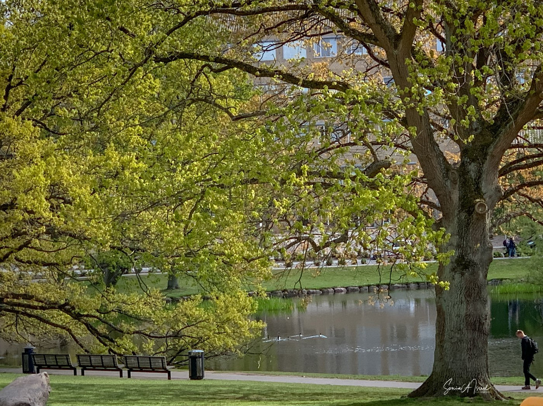 Aarhus Universitet-欧胡斯必去景点