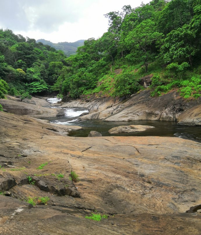 Kozhippara Falls-科泽科德必去景点