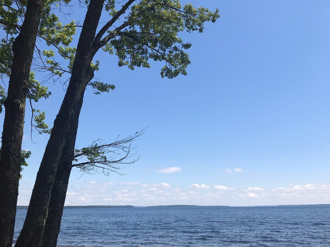 Sebago Lake State Park景点图片