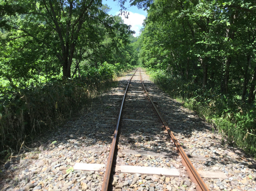 Torokko Okoku Bibuka-美深町必去景点