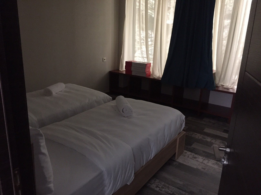 Hotel Borjomi Underwood主图