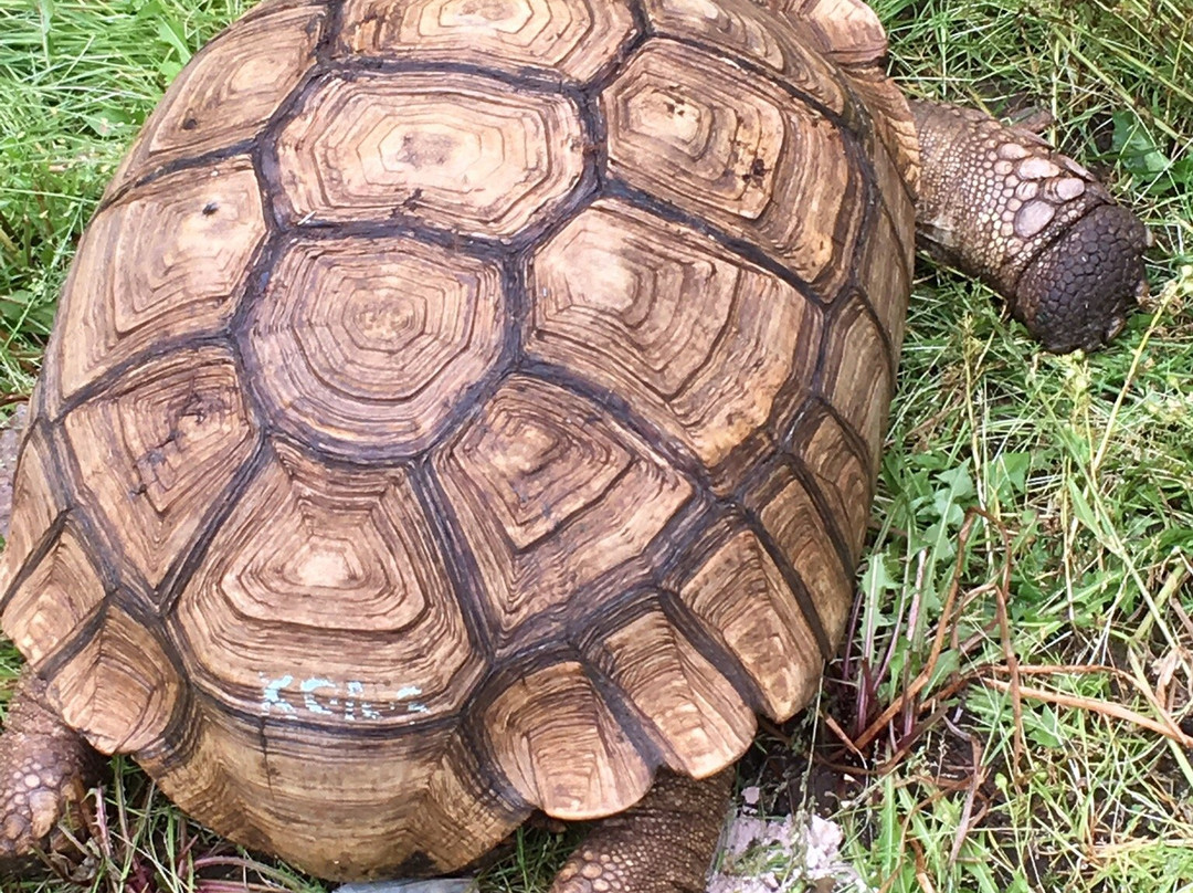 Exotarium: Ferme de Reptiles-Saint-Eustache必去景点