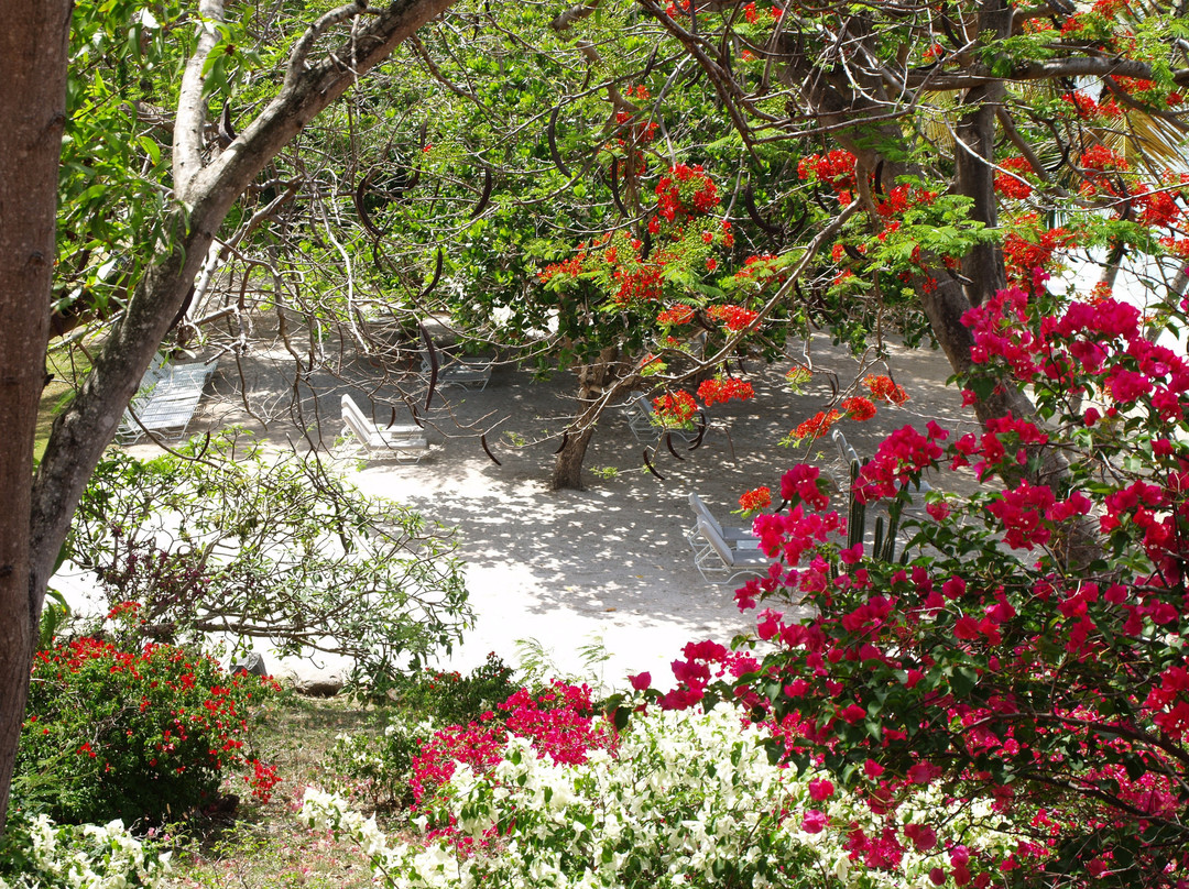 卡拉巴斯豪华精品Spa酒店主图