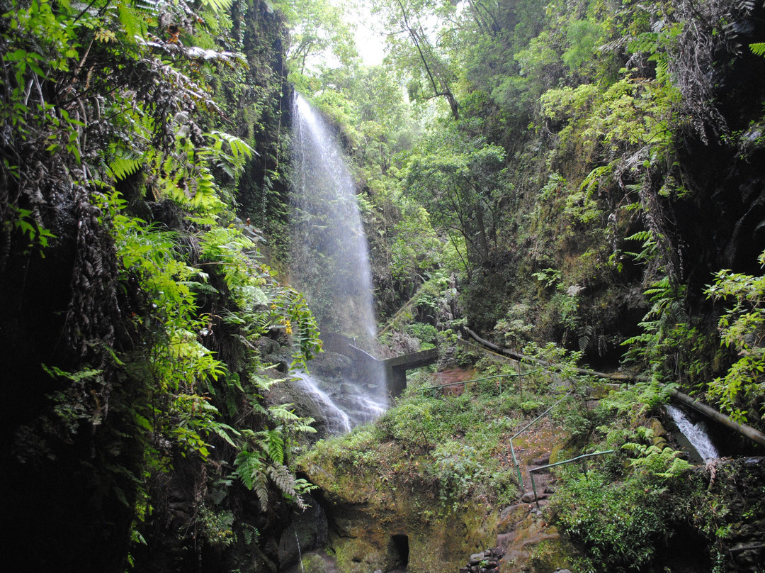 Cascada De los Tilos景点图片