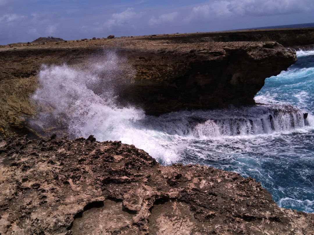 Suplado-Washington-Slagbaai National Park必去景点