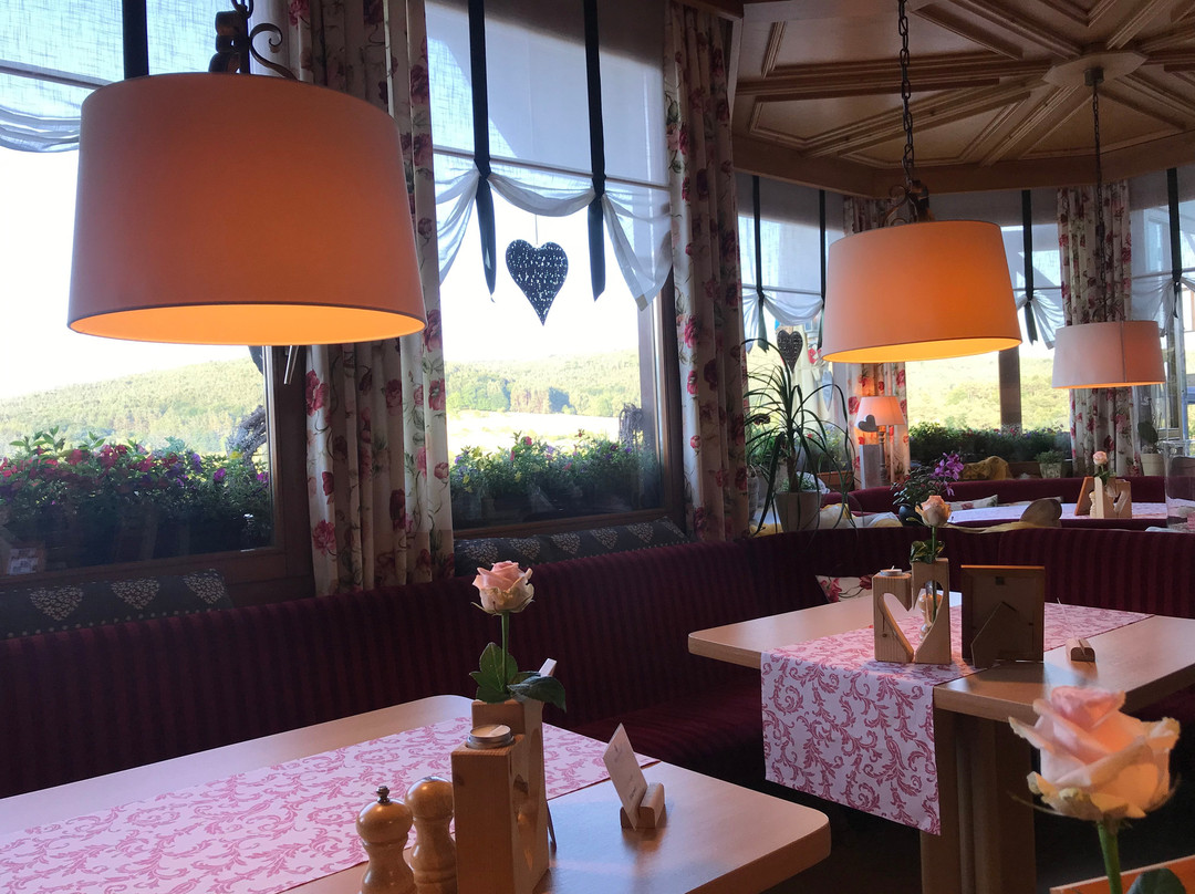 PANORAMA Hotel Heimbuchenthal主图