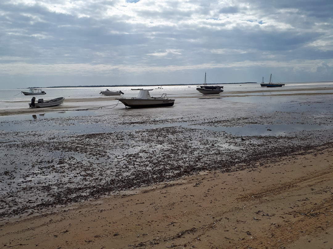 Catalong Charters-马布多必去景点