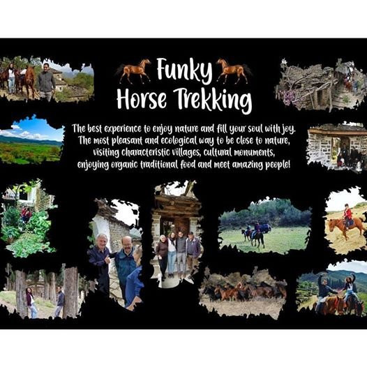 Permet酒店住宿-Funky Guest House