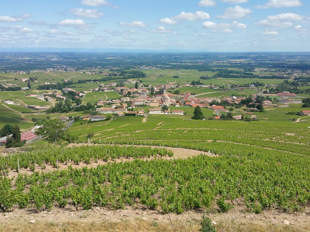 Domaine de la Madone景点图片