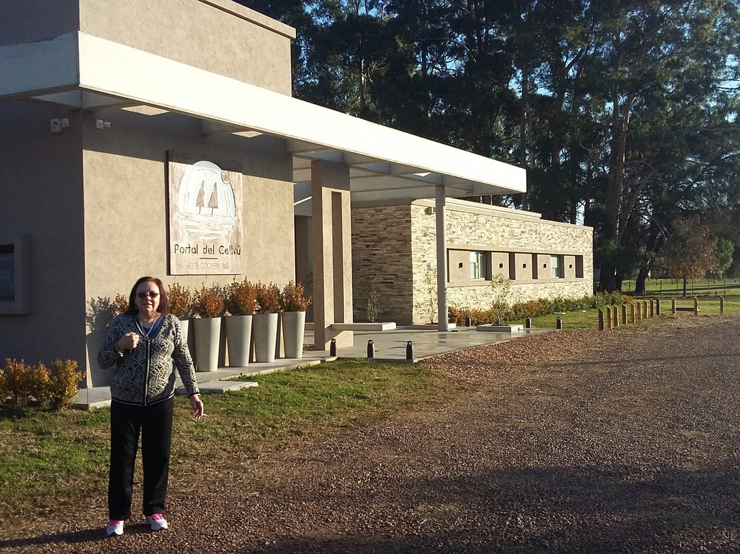 Portal Del Callvu主图