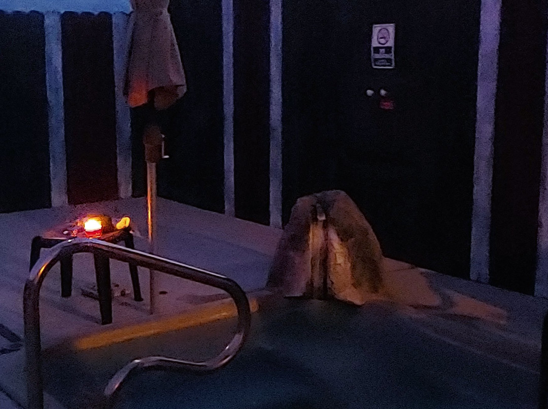 Surprise Valley Hotsprings主图