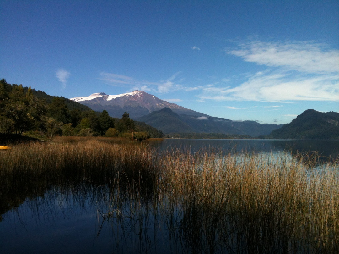 Neltume Lake Cabins