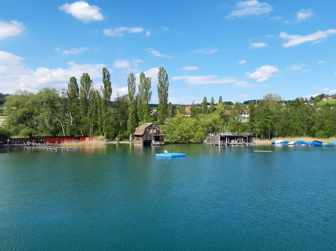 Seeuferweg Hallwilersee-Seengen必去景点