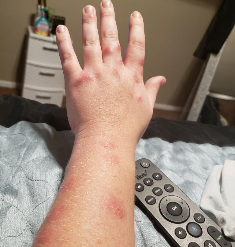 Niagara Falls North / Lewiston KOA主图