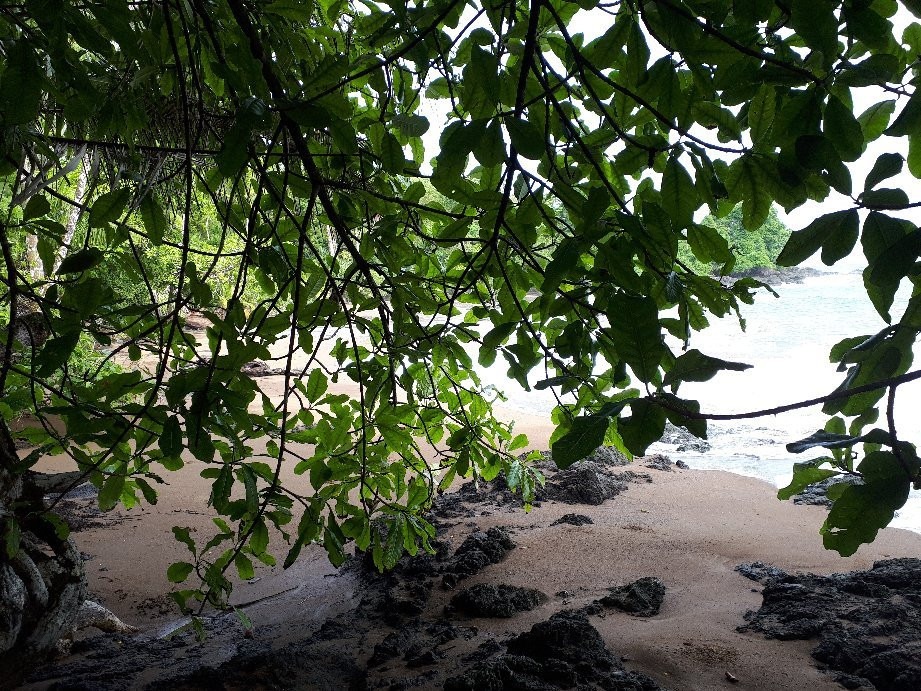 Drake Trail-德雷克湾必去景点