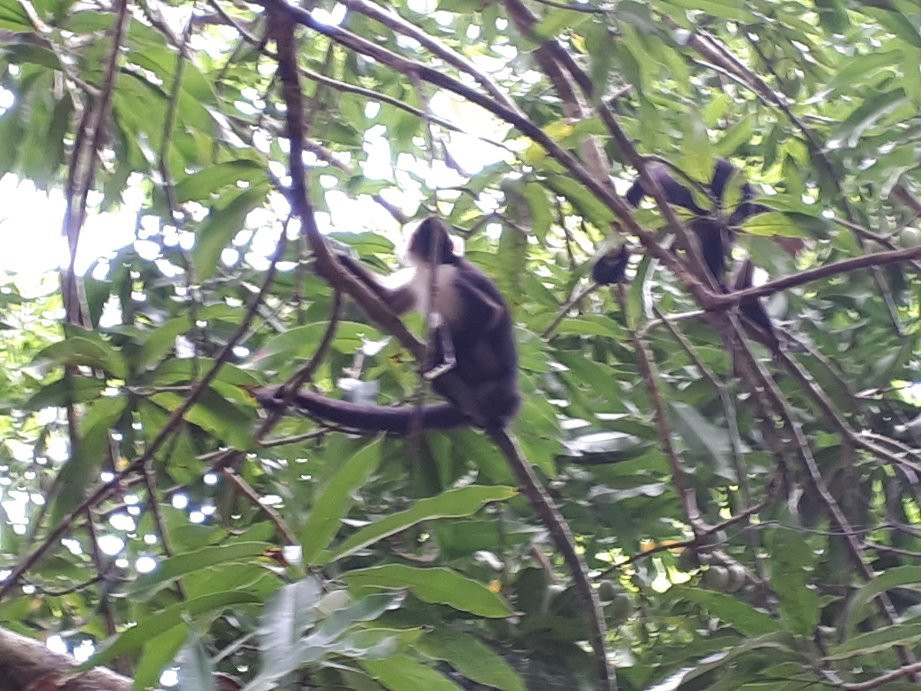 Drake Trail-德雷克湾必去景点