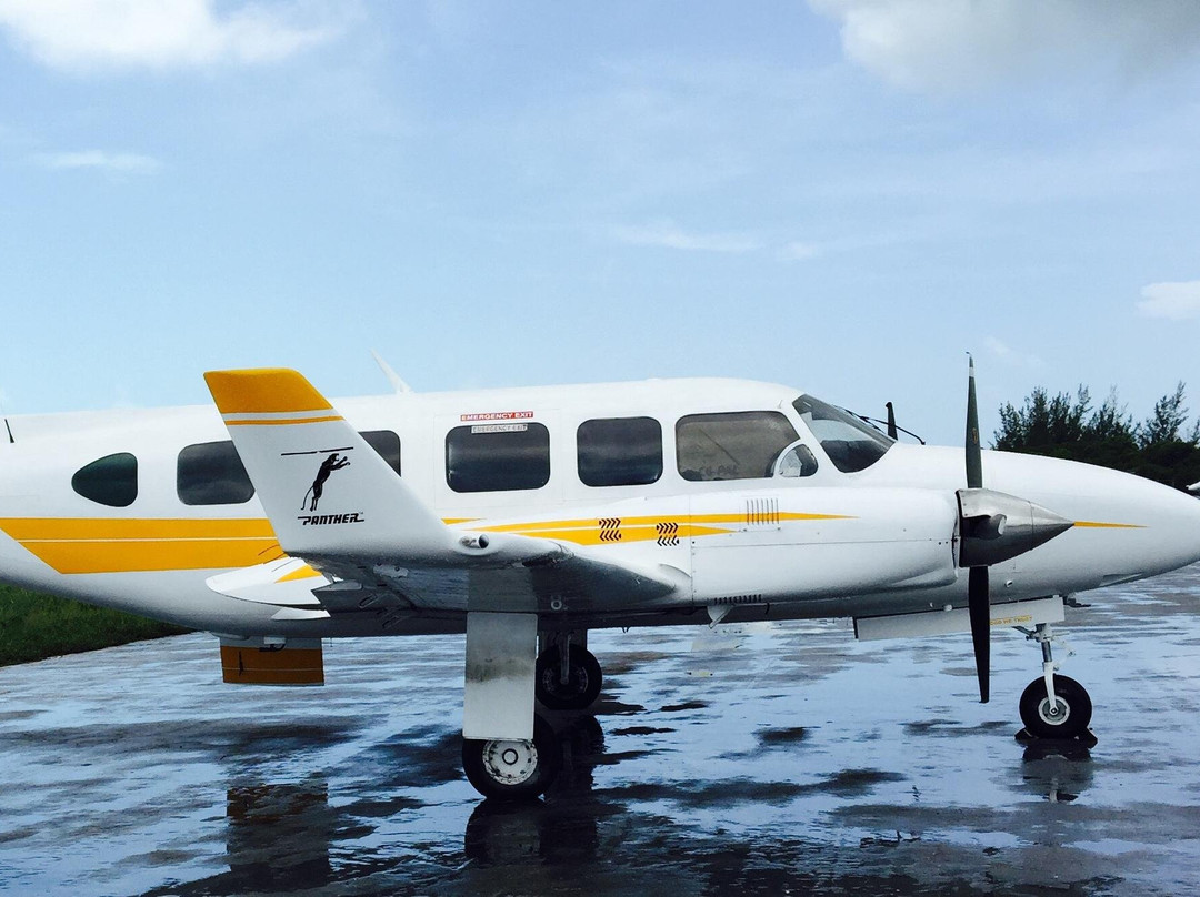 Private Airplane Swimming Pig Excursion-斯丹尼尔岛必去景点